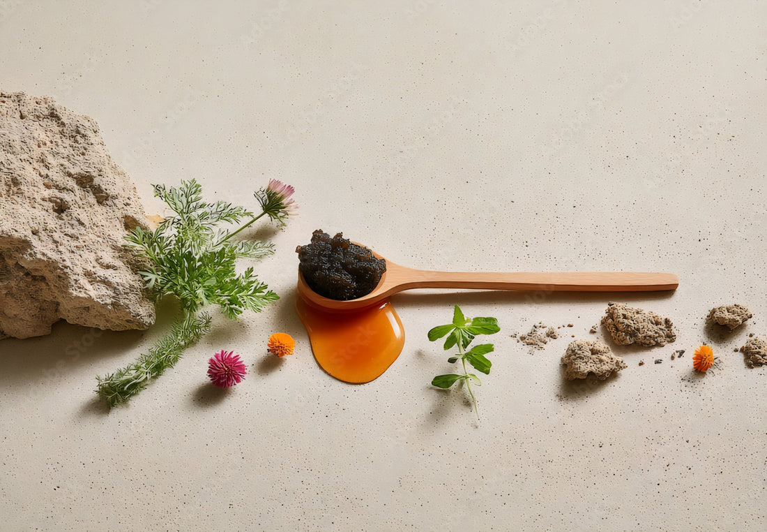 Quels sont les bienfaits du Shilajit ?