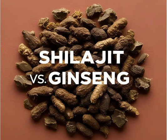 Shilajit vs Ginseng : quel supplément choisir pour booster votre énergie et vitalité ?